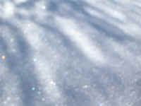 frost i marts (6).jpg (32383 byte)